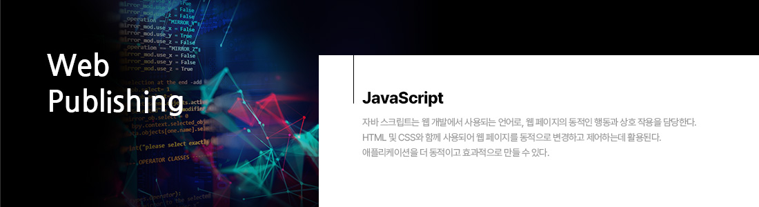 JavaScript